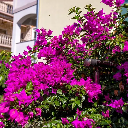 アパート Kovacic