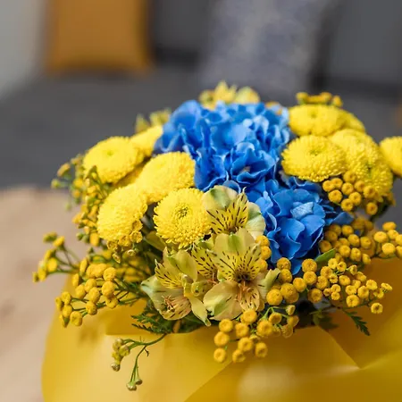 Kovacic アパート