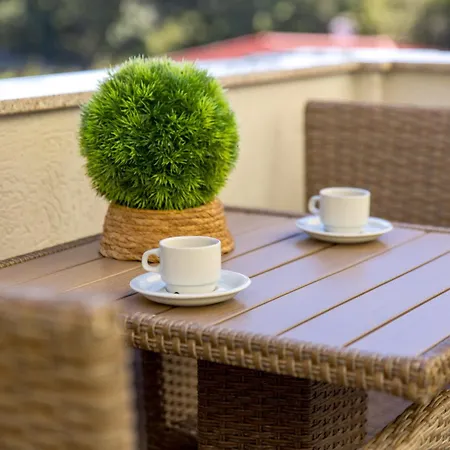 Kovacic * クラリェヴィツァ